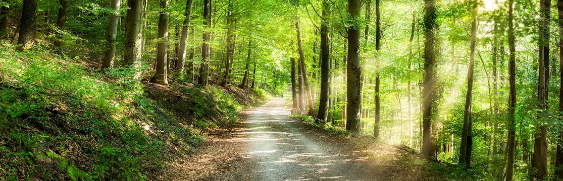 Auf dem Weg zu Gesundheit und Wohlbefinden im Leben.